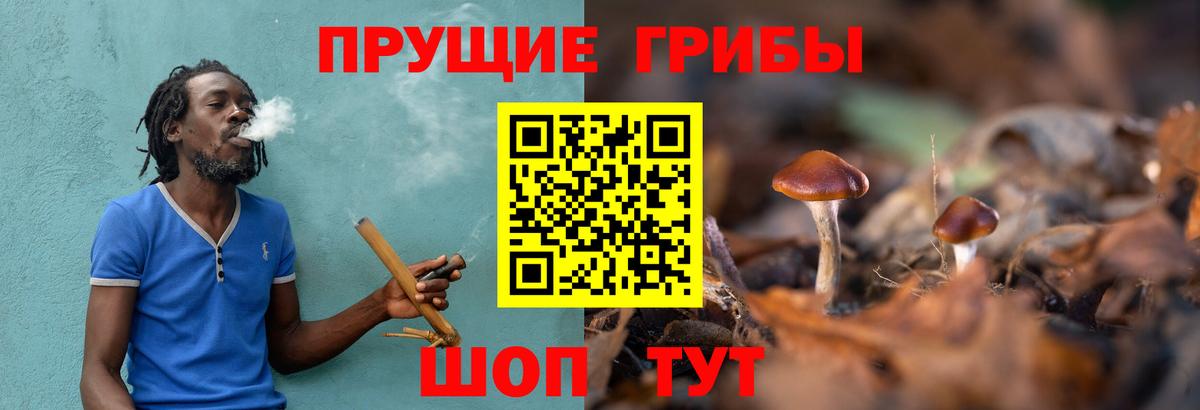 Псилоцибиновые грибы Cubensis Ульяновск